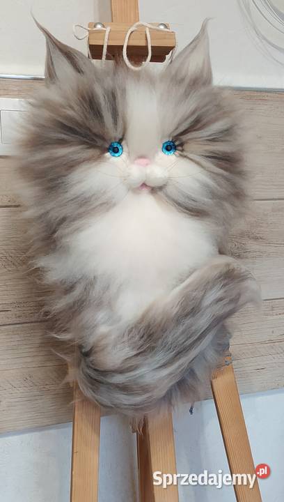 Kotek makrama ok 60 łódzkie Łódź sprzedam