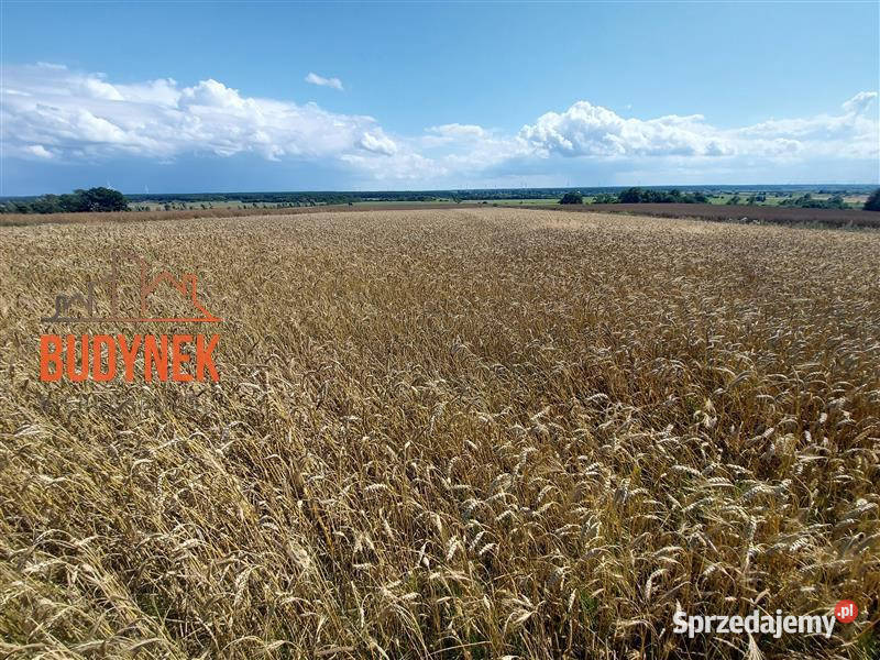 Działka rolna Kopnica