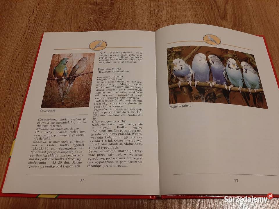 Papugi i papużki Eva Maria Bartenschlager kujawsko-pomorskie Bądkowo