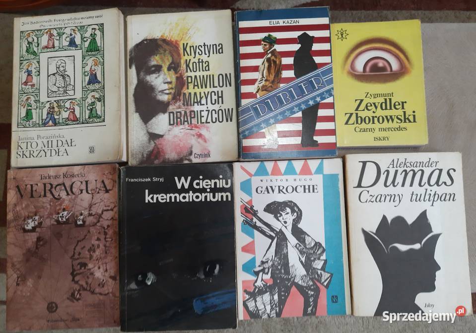 Ksiązki różne 24 sztuki Sosnowiec