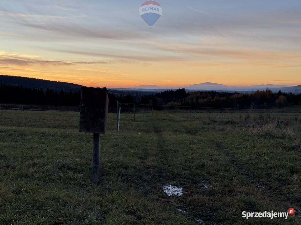 sprzedaży działki Frydman