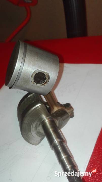 Tłok pilarki Leśnictwo Leśnictwo śląskie Żywiec