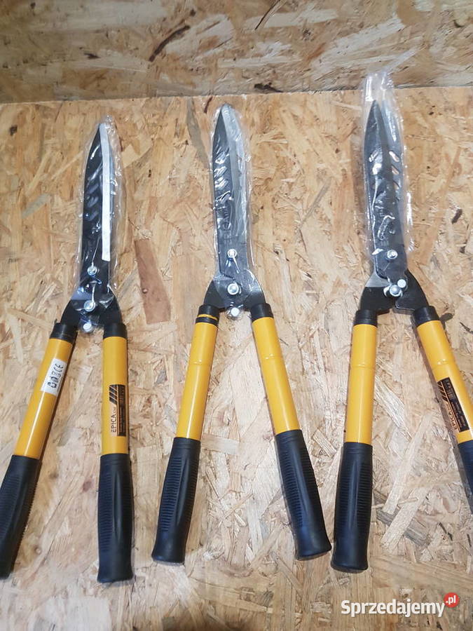 NOŻYCE TELESKOPOWE RĘCZNE ŻYWOPŁOTU KRZEWY wielkopolskie Głogowa