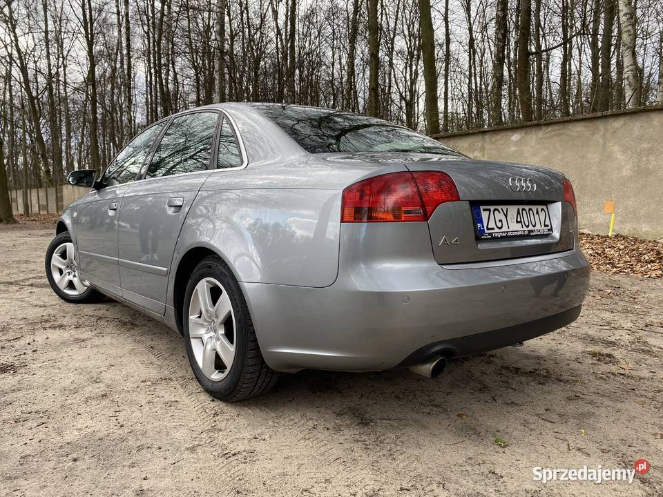 Audi A4 B7 Radziejów