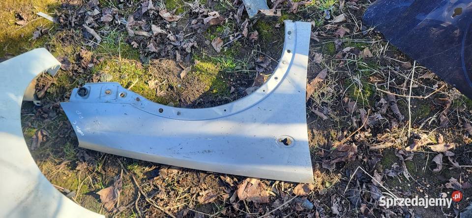 Błotnik Prawy Lewy Opel Corsa C Żabno