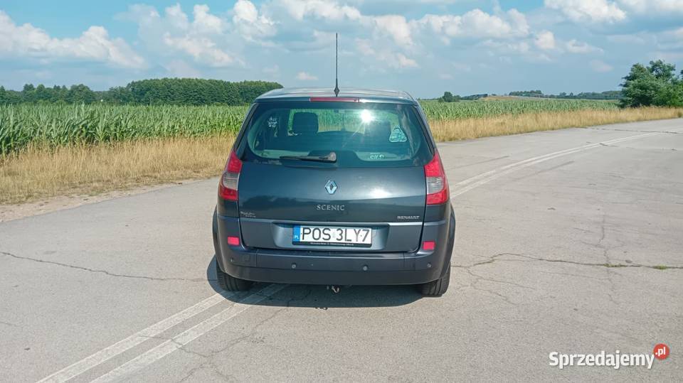 Sprzedam Renault scenic wielkopolskie Rzetnia