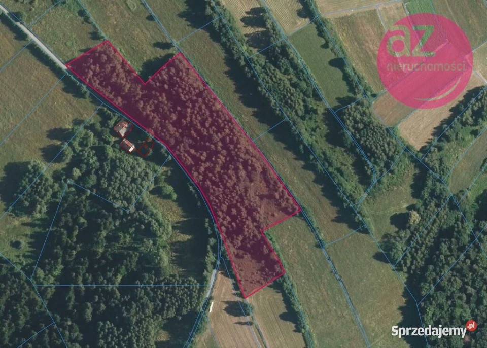 Działka rolna MszalinicaKamionka Wielka asfalt Sprzedaż Mszalnica