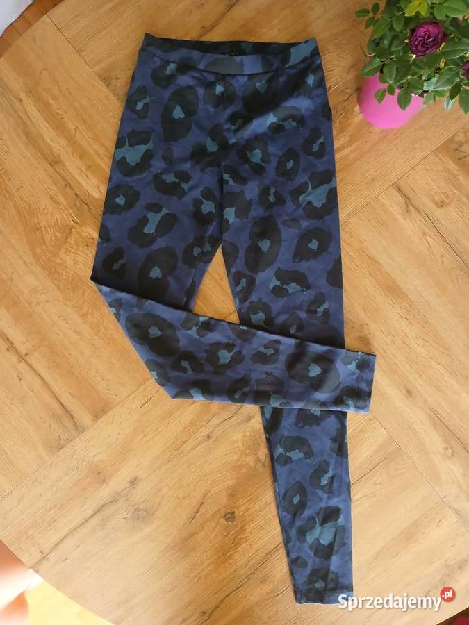 Legginsy Calzedonia S nowe śląskie Częstochowa