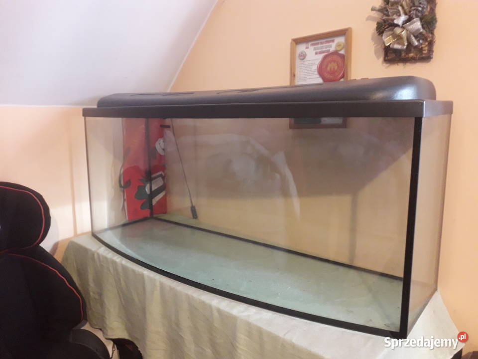 Akwarium 400 litrów Sulechów