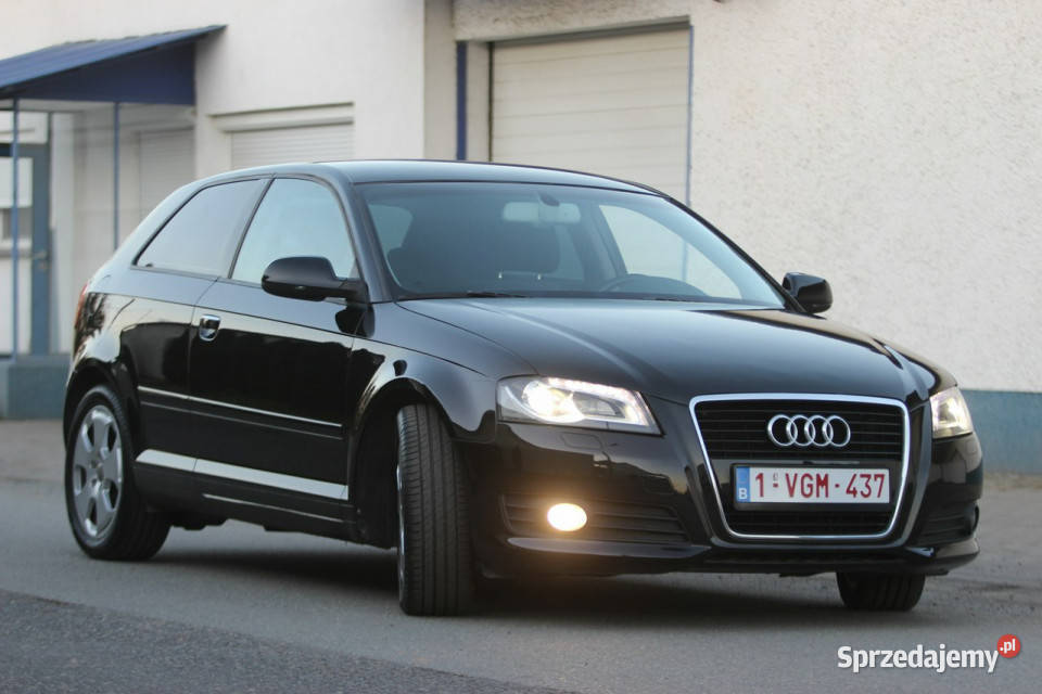 Audi A3 8P 2011r 12 Benzyna ALUSY biXENON benzyna Nysa
