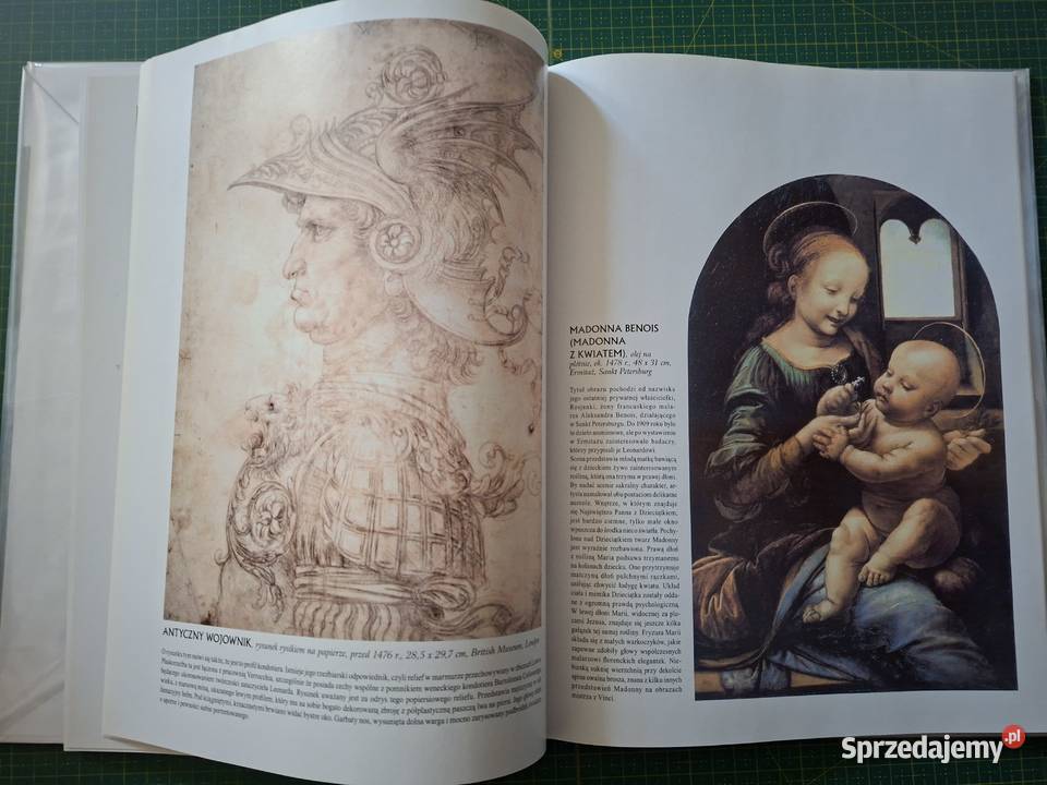 Wielka kolekcja sławnych malarzy 60 tomów sztuka, kultura i etnologia małopolskie Kraków