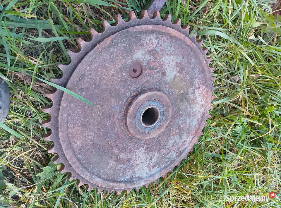 Koło zębate rozrzutnik Augustów