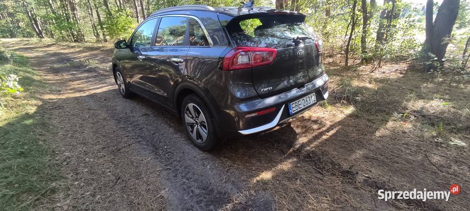 Kia Niro Niro Bełchatów