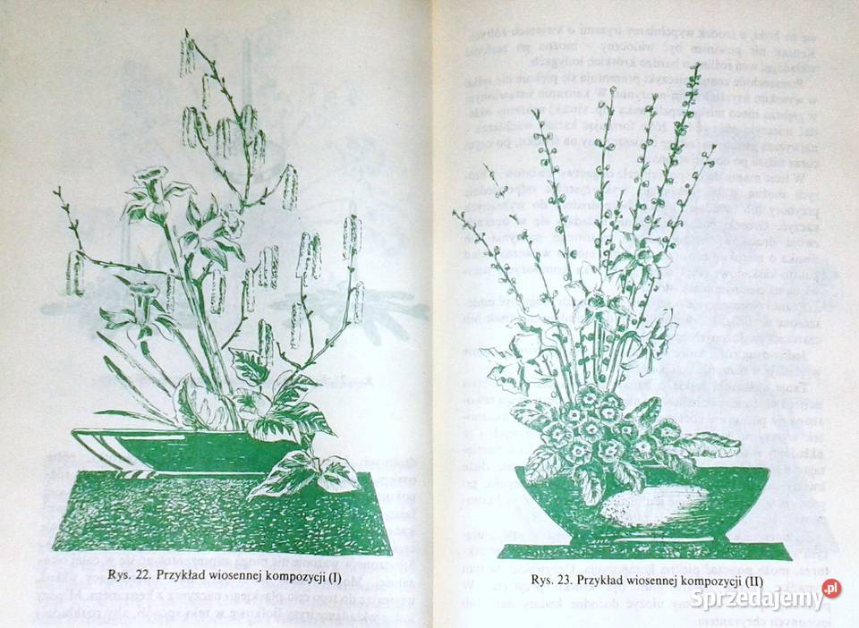 Rośliny ozdobne w mieszkaniu Krystyna Onitzchowa Rok wydania 1987 Kultura i Rozrywka Chełm