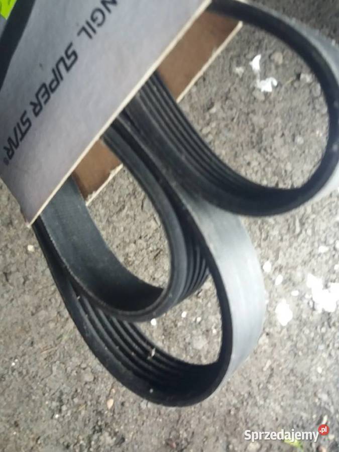 Pasek Dongil 6PK 1750 Lubań