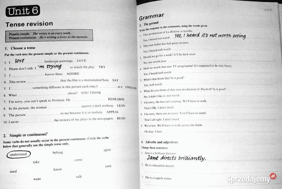 Studying Strategies Workbook Steve Elsworth lubelskie