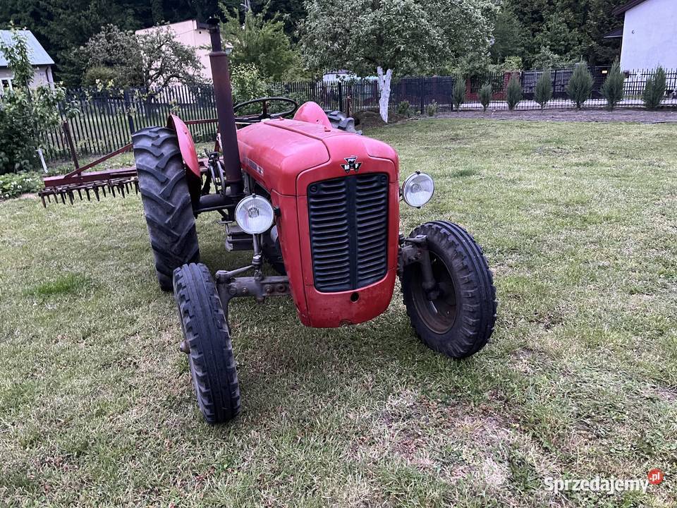 Massey Ferguson 35 benzyna 4 cylindry Mała Wieś sprzedam