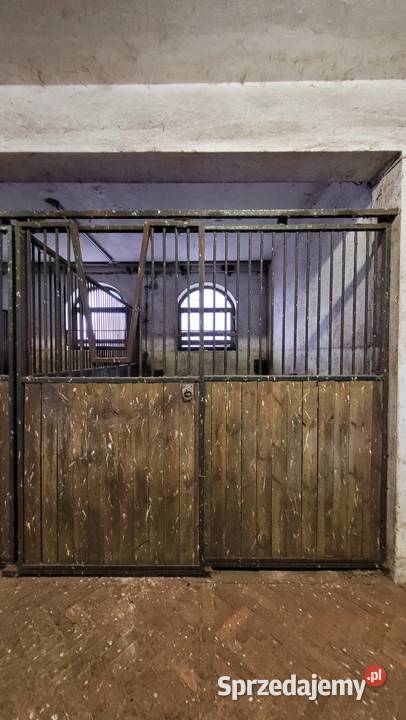 Boksy koni Małe Rudy