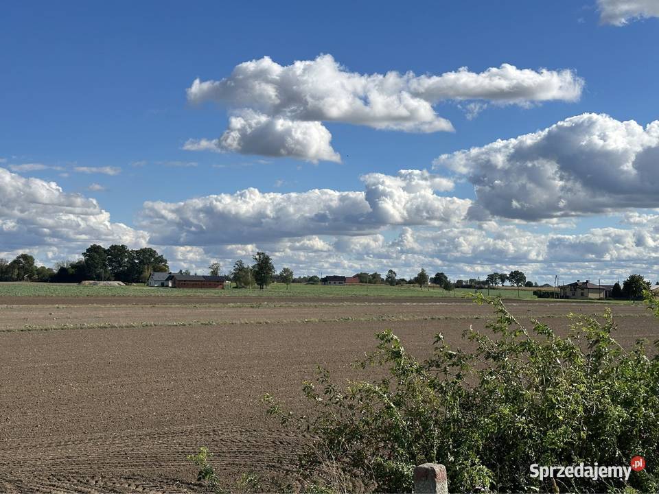 Sprzedam działkę budowlaną gm Kutno 9001700m2 902m2 Sprzedaż Boża Wola