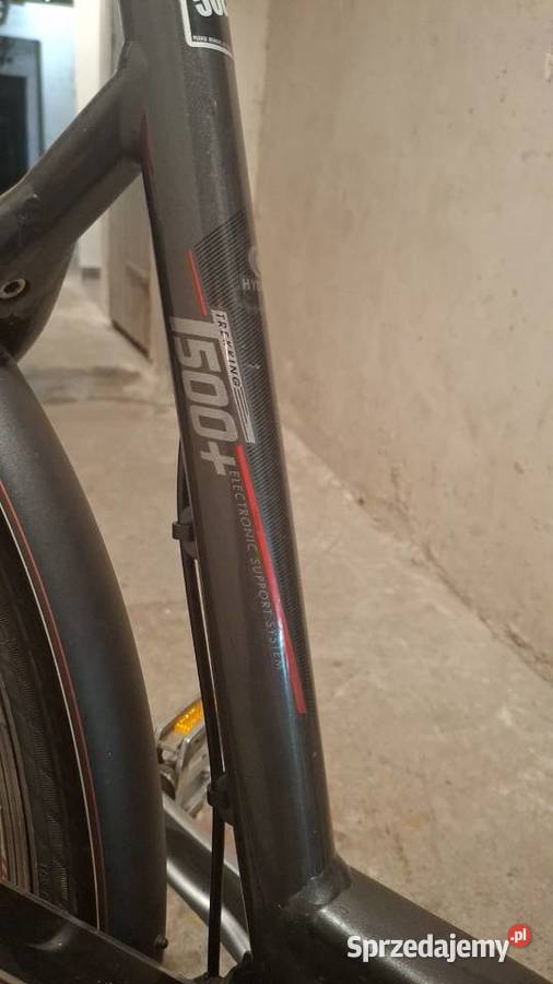 Rower elektryczny trek Alpha Platinum pomorskie Gdynia