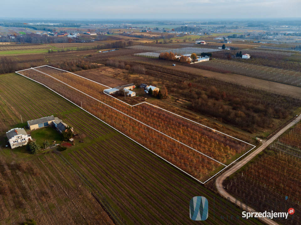 Działka 21802m2 Michrów