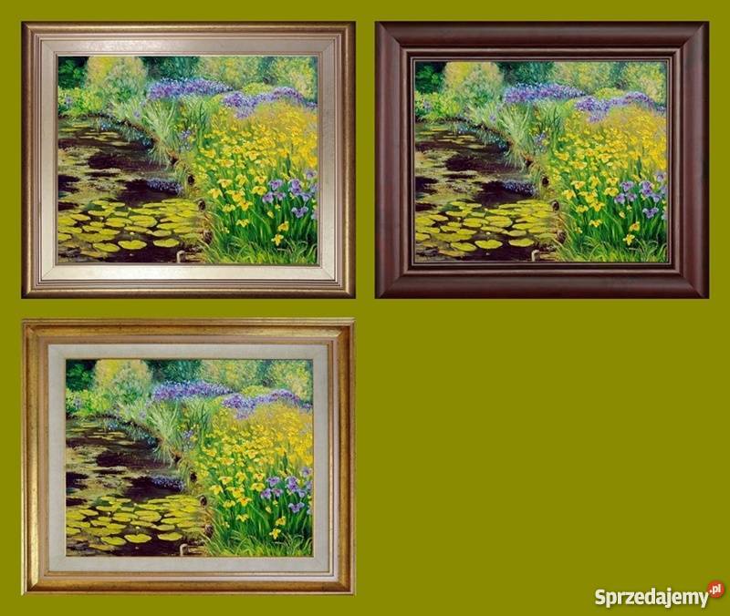 Obraz olejny Irysy wodą