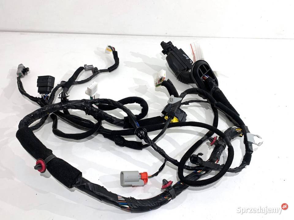 WIĄZKA DRZWI PRZÓD LEWY HYUNDAI KONA 91601J9271 osobowe sprzedam