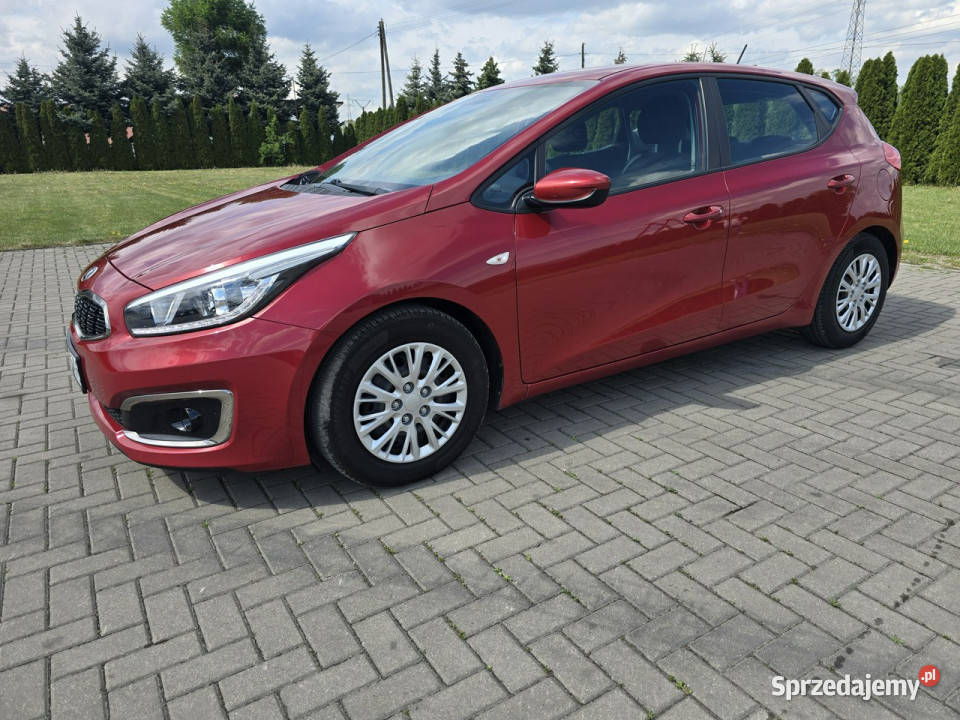 Kia Ceed 16crdi Kutno