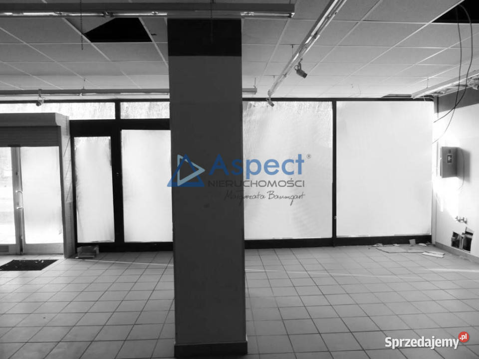 Duży lokal 264m2 w Centrum Szczecin sprzedam