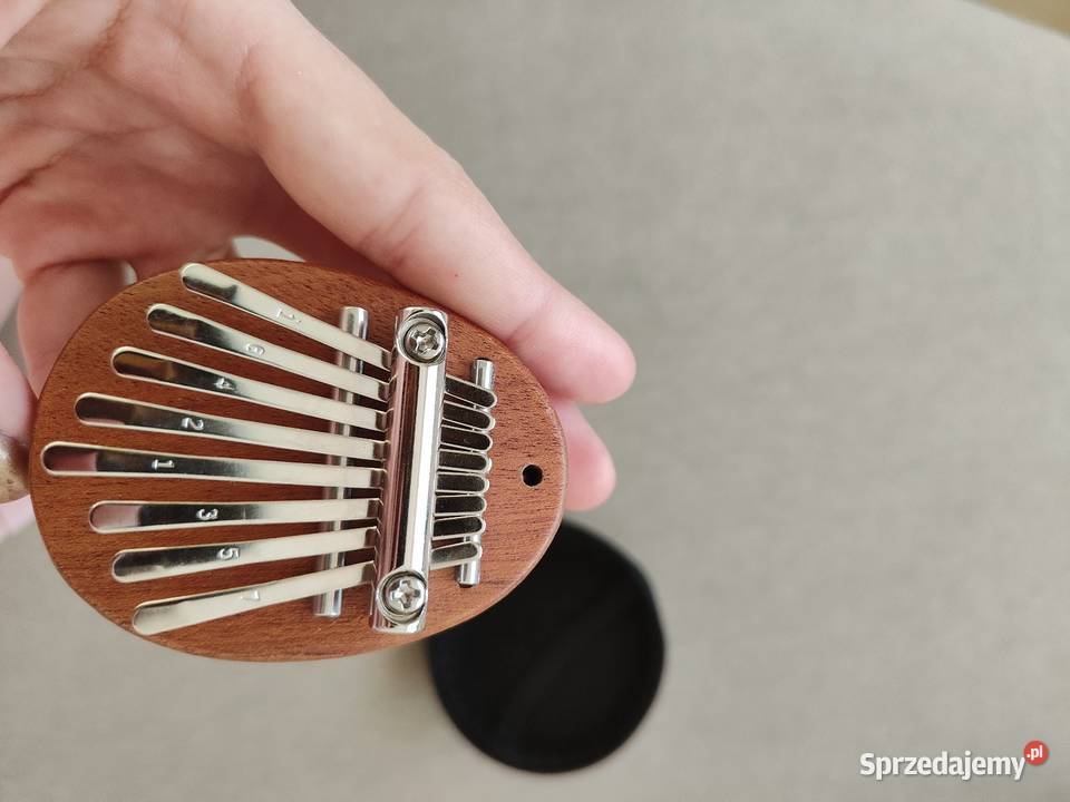 Instrument kieszonkowy Sosnowiec