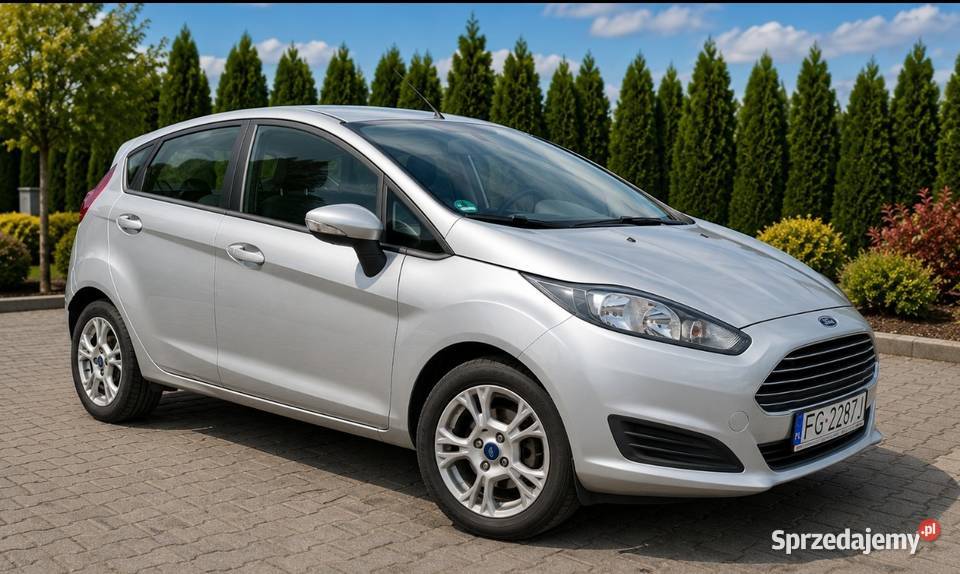 Ford Fiesta 2013 12 Benzyna 123 Grzane fotele Hatchback