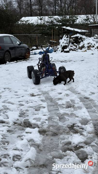 Sprzedam quada hummer 250 odpala 11 Pozostałe łódzkie Suchoczasy sprzedam