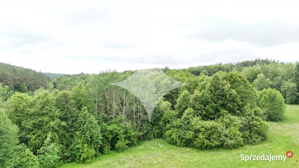 piękne ranczo z łąką i lasem pod HoryńcemZdrojem Dziewięcierz