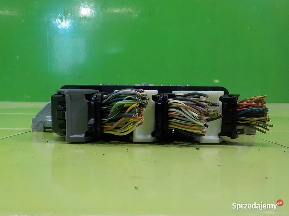 RANGE ROVER L322 36 TD V8 06r 5D sterownik Suków