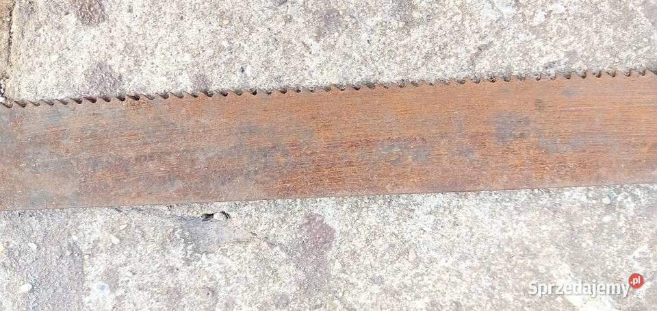 Brzeszczot do piły mechanicznej gruby dolnośląskie