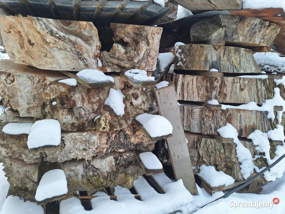 Plastry Foszty Drewno pod żywicę Dzikowiec