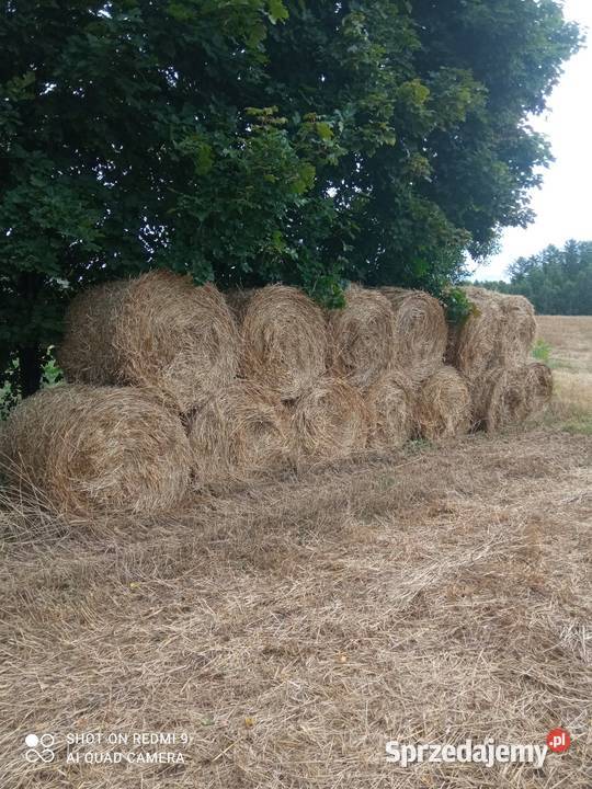Słoma i siano pomorskie Sierakowice sprzedam