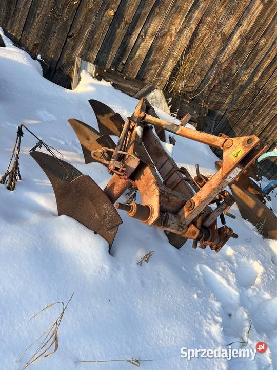 Pług 3 skibowy Przasnysz