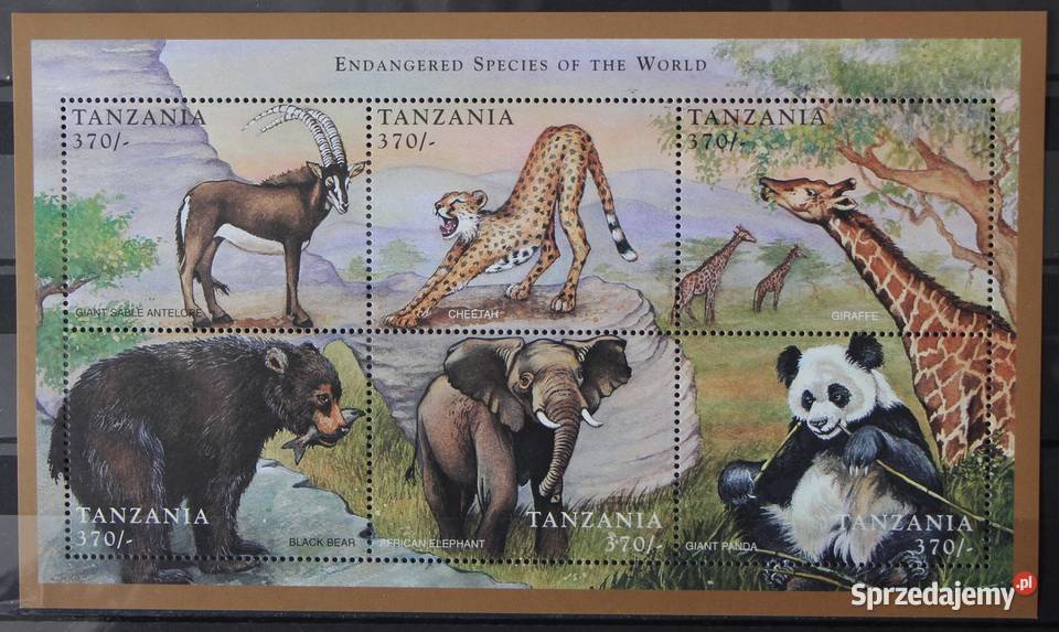 Tanzania fauna 1998 r Oborniki