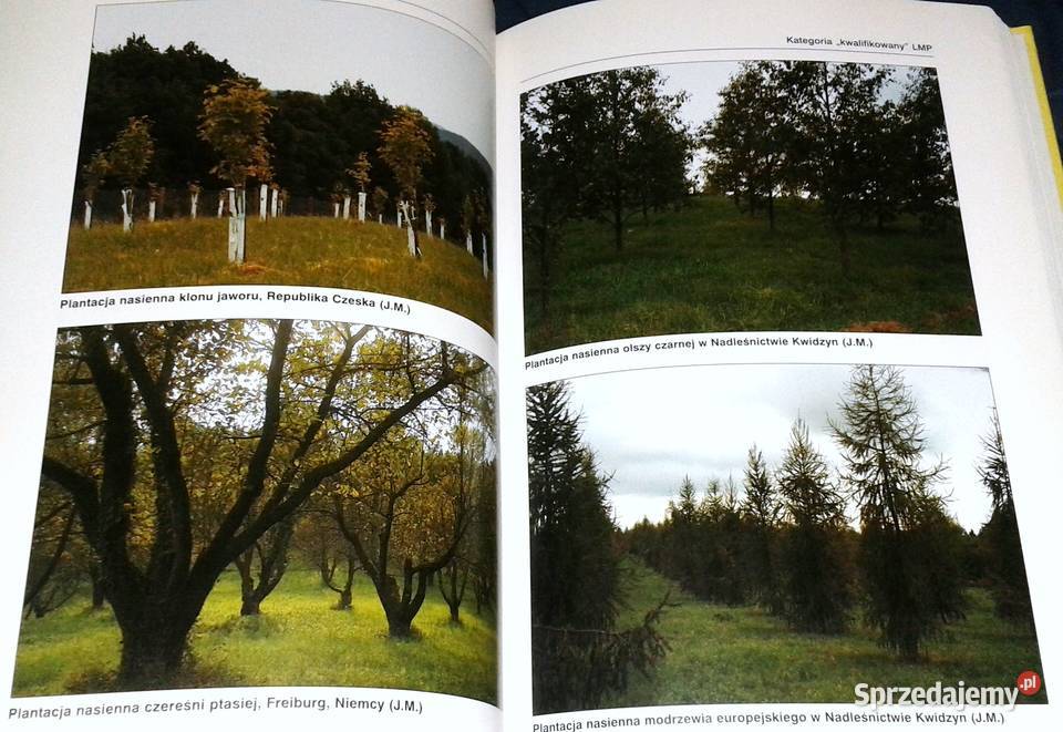 Leśna baza nasienna w Polsce Wojciech Fonder Jan Rok wydania 2007 Chełm
