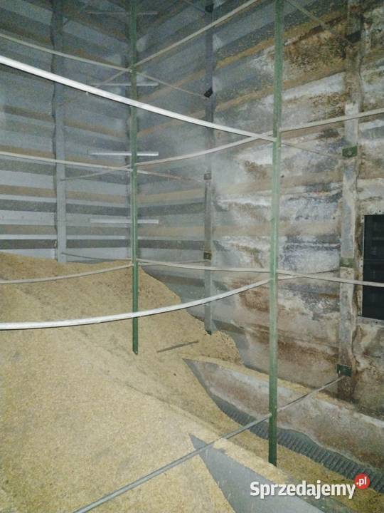 Magazyn Silos zbożowy 4 kom 360t z możliwością Brzeźnik