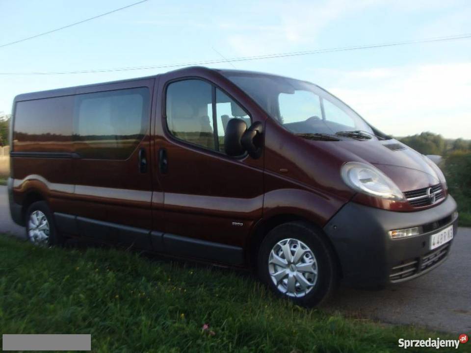 Sprzedam nieuszkodzony Opel Vivaro 2004 Radoszyce