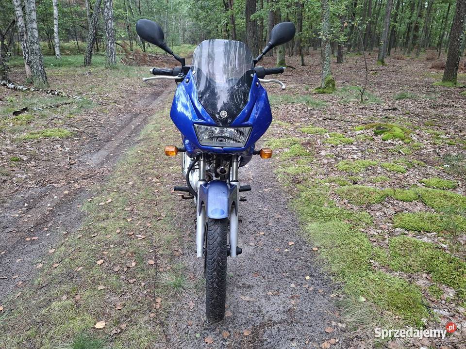 Yamaha diversion 125 Majdan Królewski
