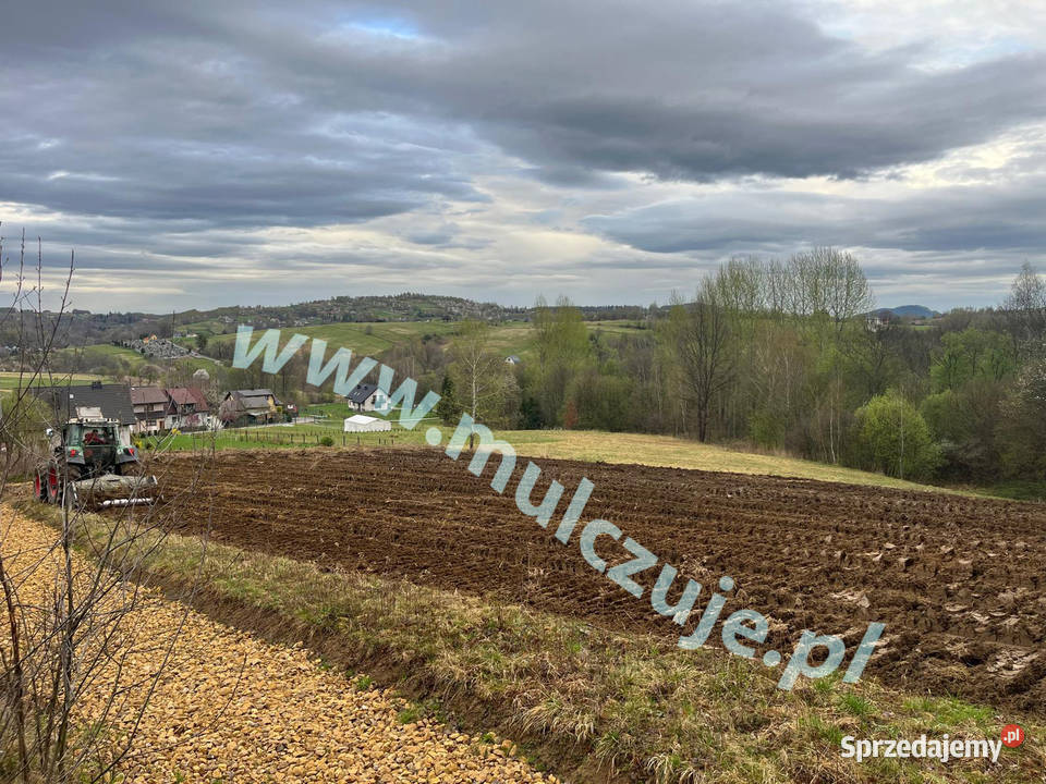 Karczowanie Mulczowanie wgłębne Kraków prace ogrodowe