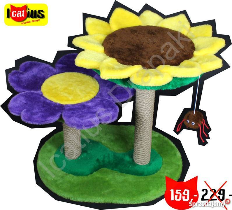 Drapak kota Icatius Wyjątkowy Łódź