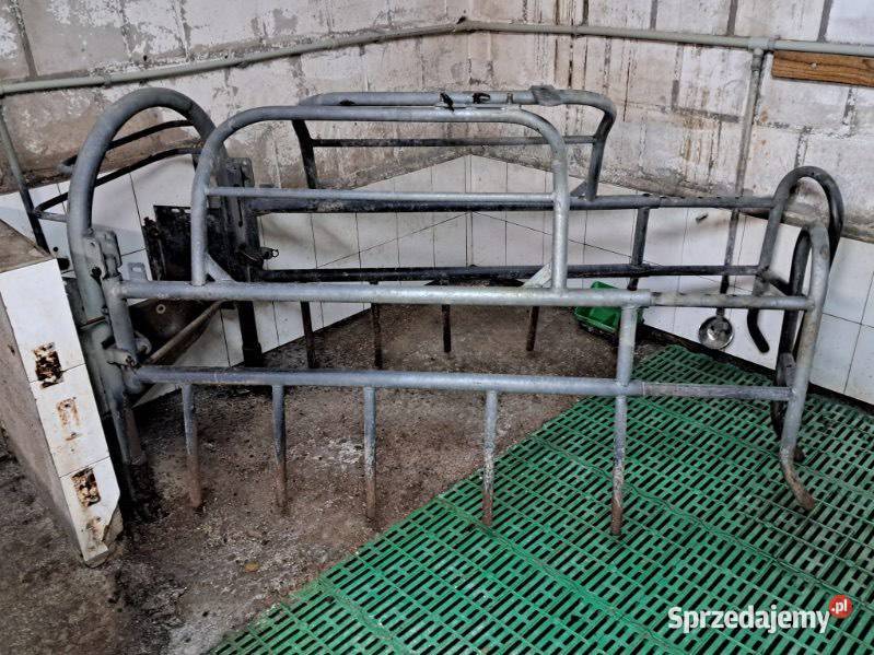 Kojec porodowy macior porodówka Mońki