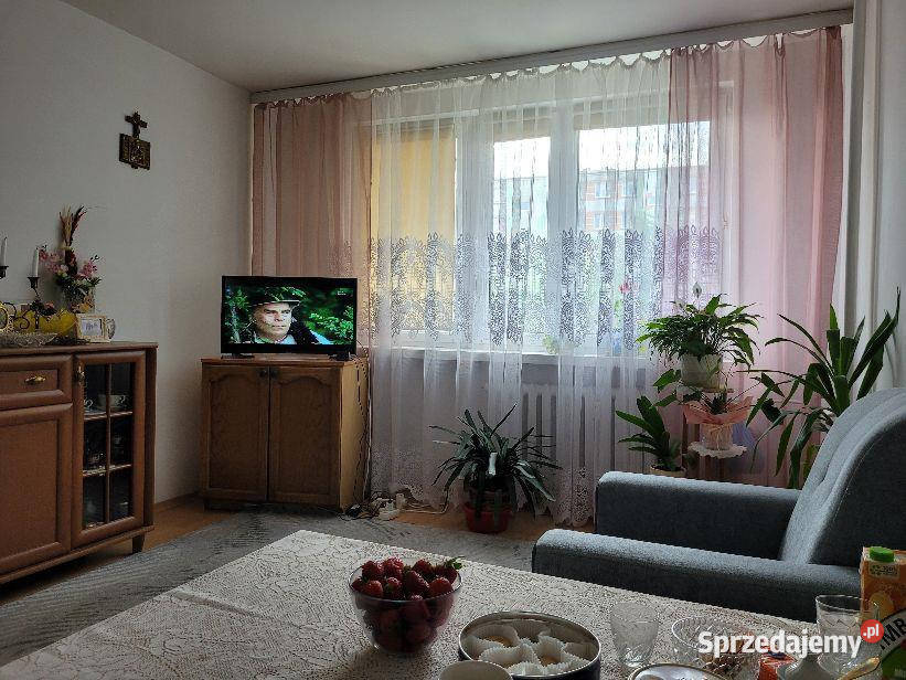 Mieszkanie sprzedam 47m2 3 pokoje RucianeNida parter Sprzedaż