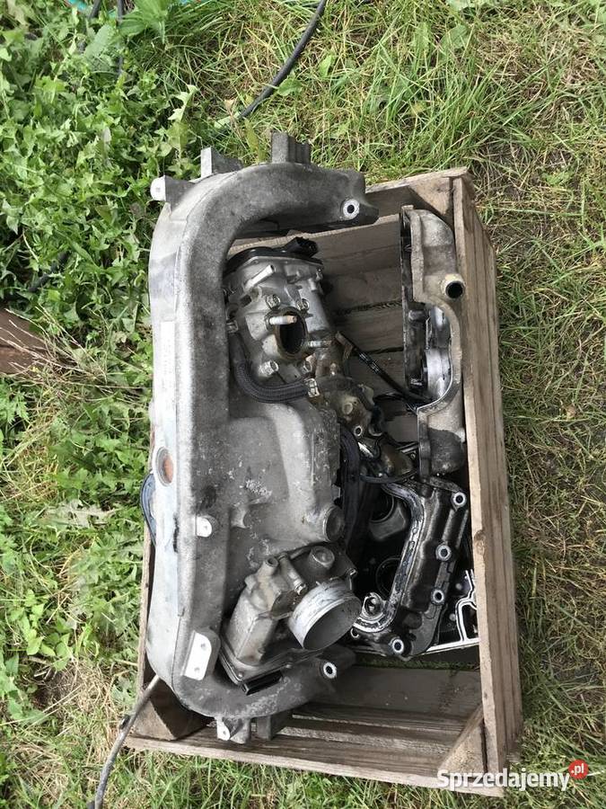 silnik części Subaru Forester Boxser 20 Diesel Kosianka-Trojanówka