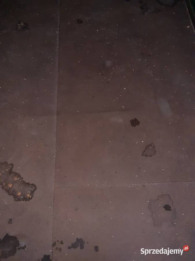 Autosan D50 sztywna zarejestrowana nieuszkodzony Przyczepy rolnicze Felicja