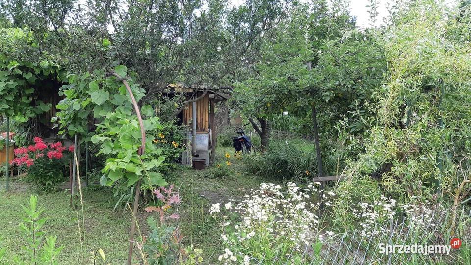 Ogródek działkowy ROD 300 m2 Białołęka Warszawa